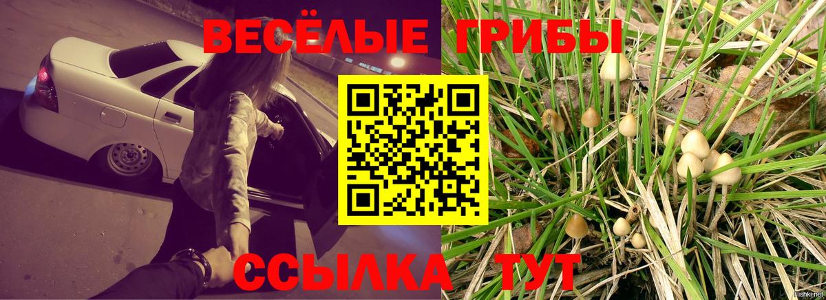 Псилоцибиновые грибы мухоморы  Вход с VPN  купить закладку  Псилоцибиновые грибы GOLDEN TEACHER  Гурьевск 